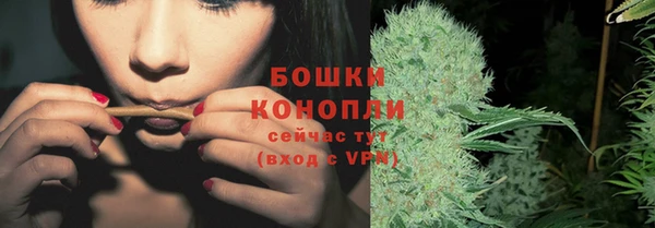 бошки Елабуга