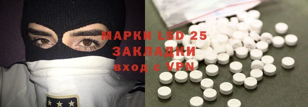 бошки Елабуга