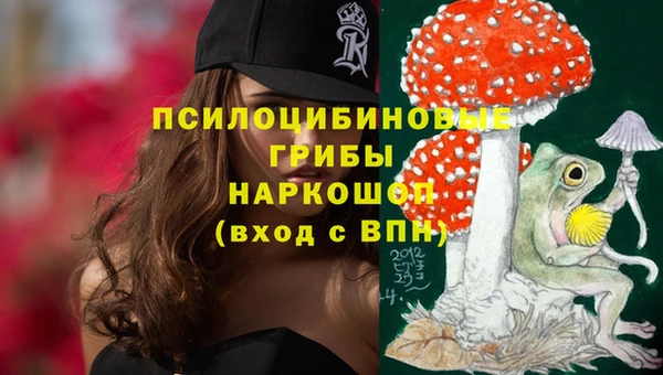 соль ск Дмитров