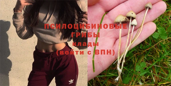круглые Елизово
